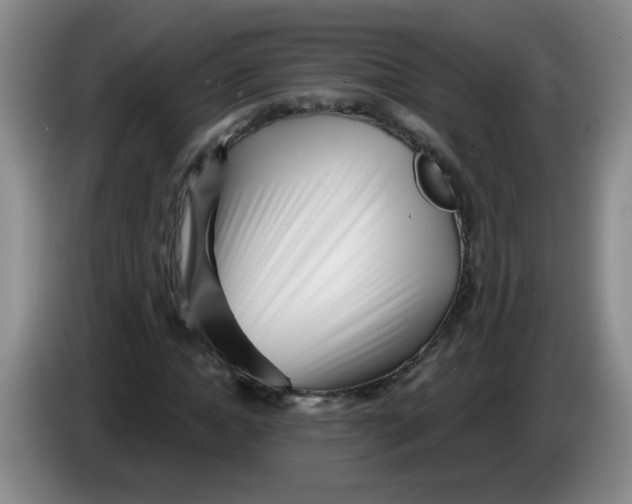 X0000084040822200703092029