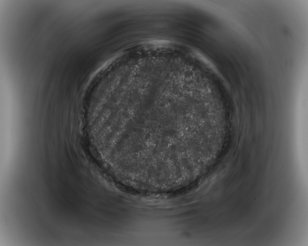 X0000084040823200703092029