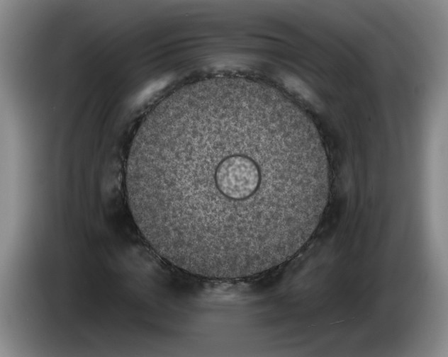 X0000084040824200703092029