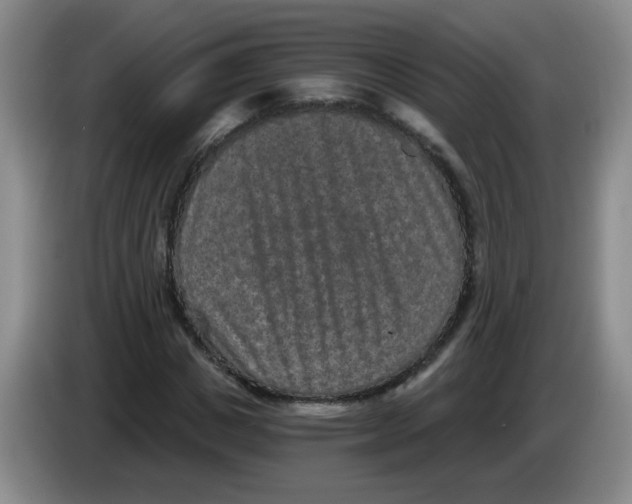 X0000084040825200703092029