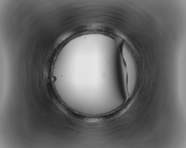 X0000084040826200703092029