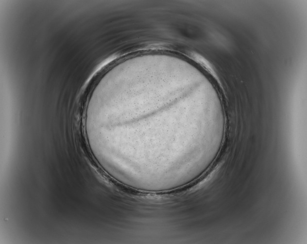 X0000084040827200703092029