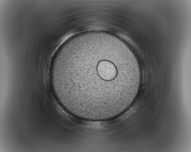 X0000084040828200703092029