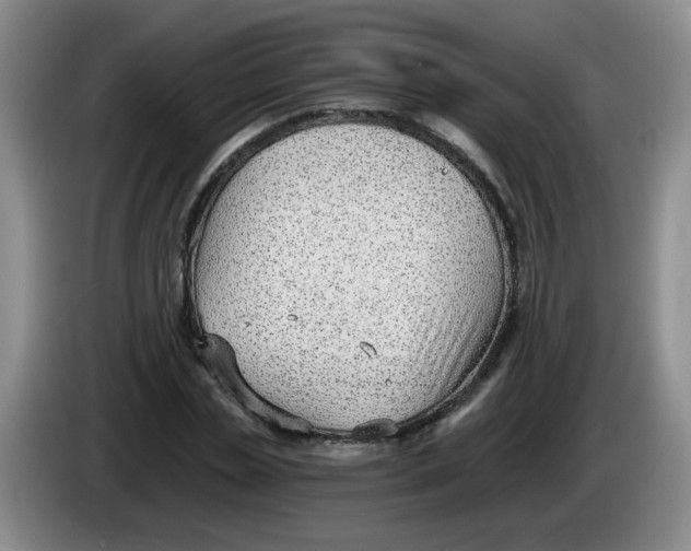 X0000084040829200703092029