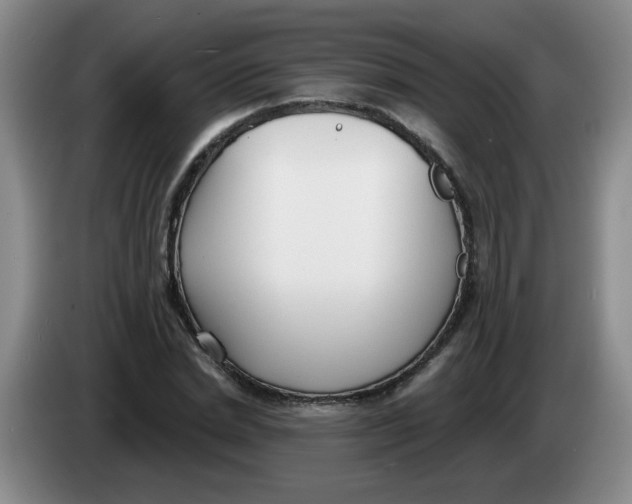 X0000084040830200703092029