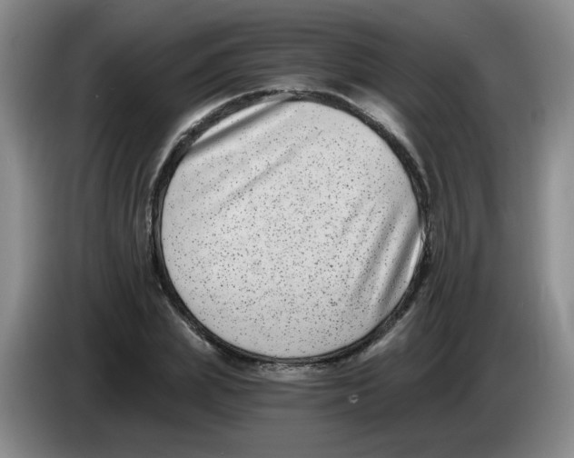 X0000084040831200703092029