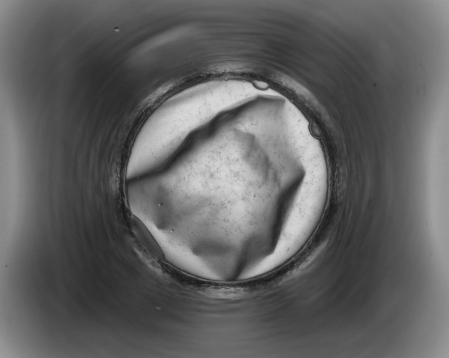 X0000084040833200703092029