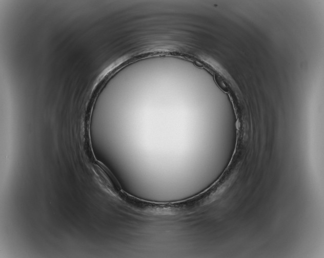 X0000084040834200703092029