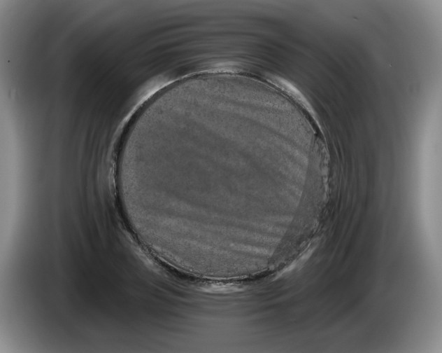 X0000084040835200703092029