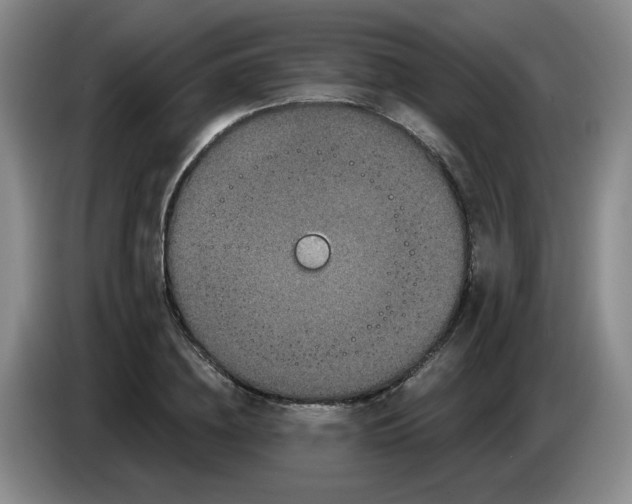 X0000084040836200703092029