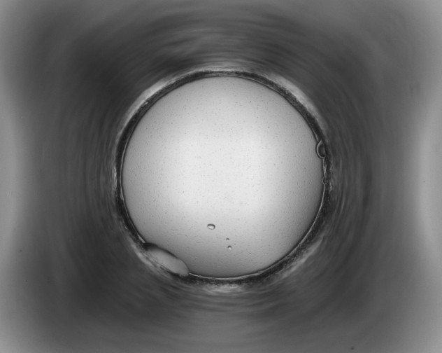 X0000084040837200703092029