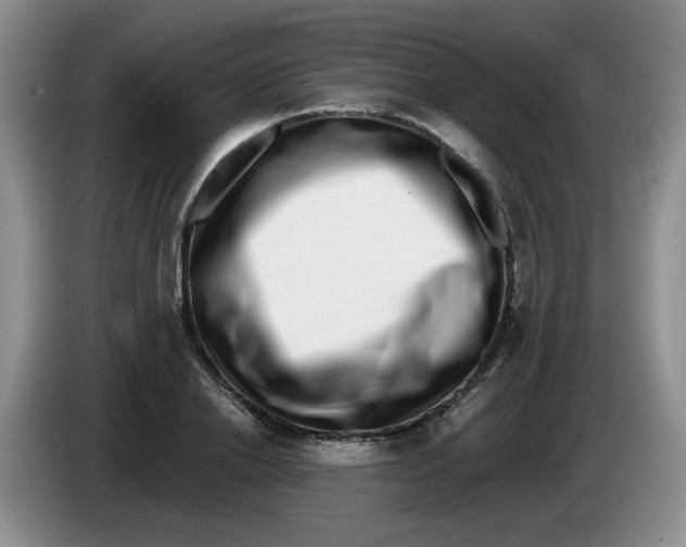 X0000084040838200703092029