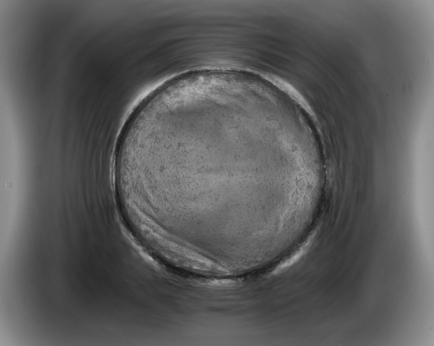 X0000084040839200703092029