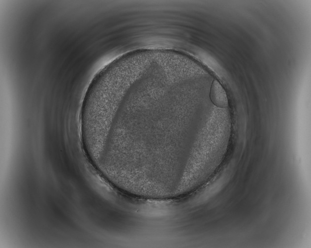 X0000084040840200703092030