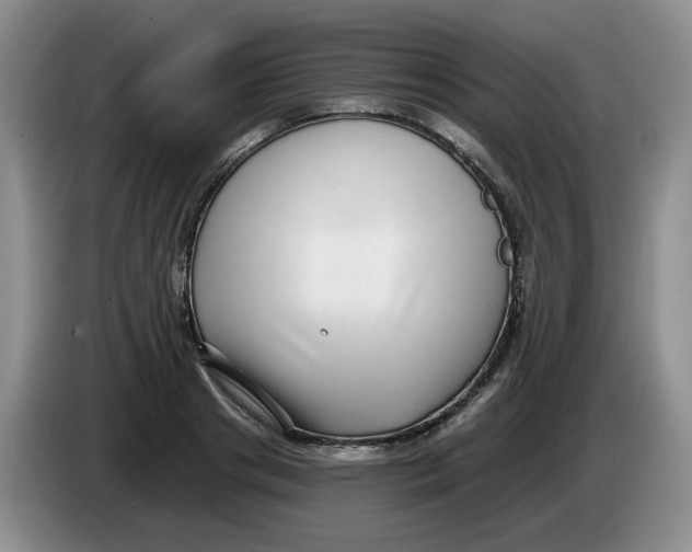 X0000084040841200703092030