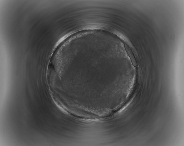 X0000084040842200703092030