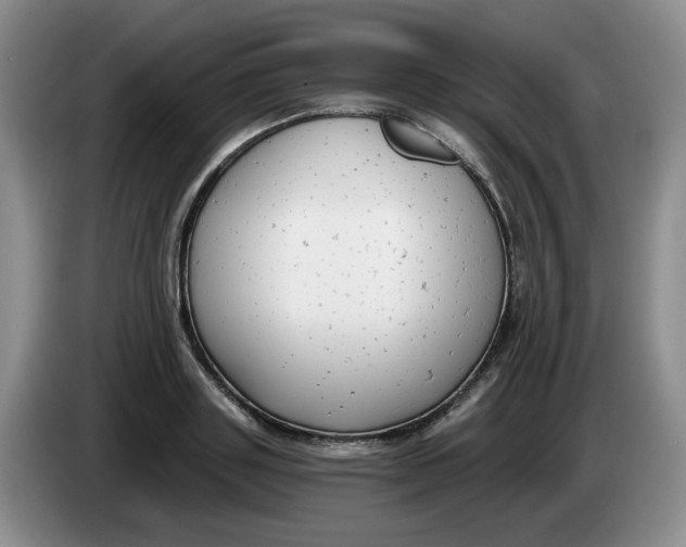 X0000084040843200703092030