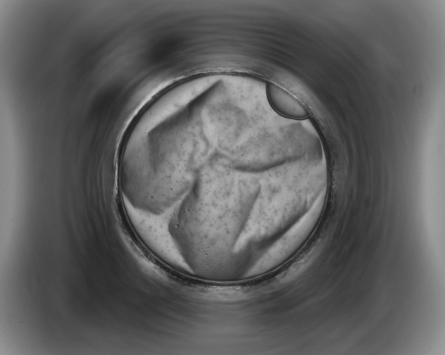 X0000084040844200703092030