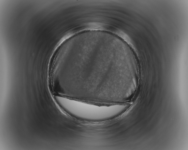 X0000084040845200703092030