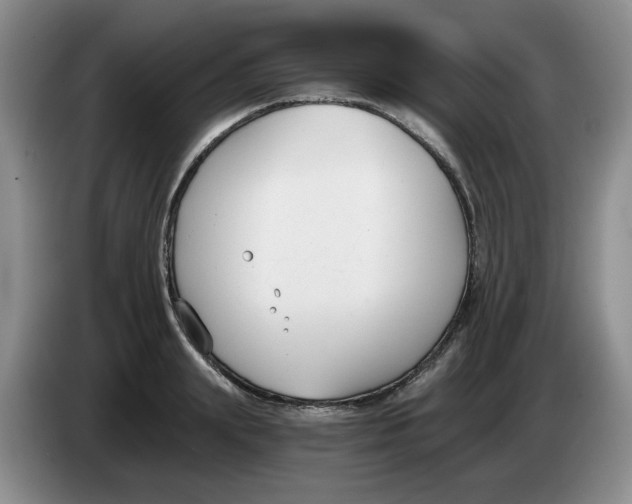 X0000084040847200703092030