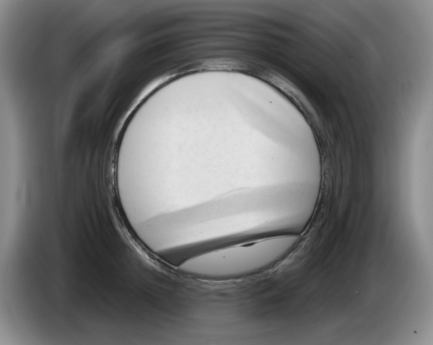 X0000084040852200703092030