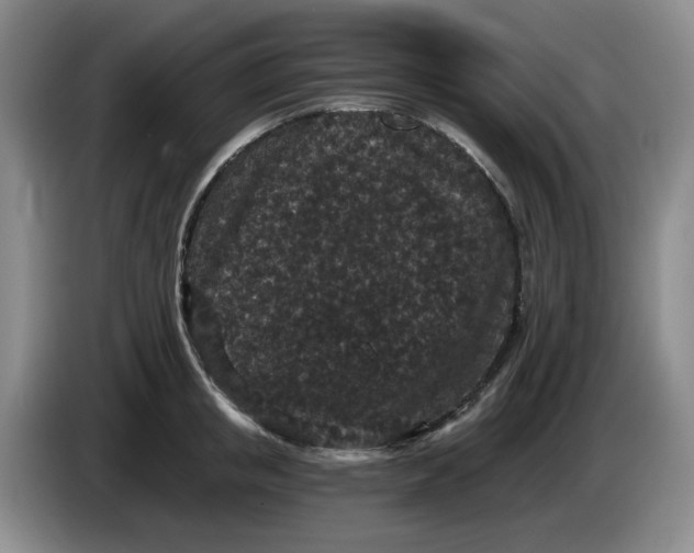 X0000084040853200703092030