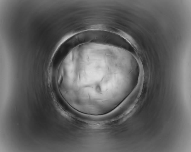 X0000084040854200703092030