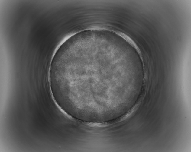 X0000084040855200703092030