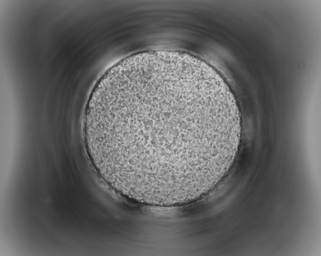 X0000084040856200703092030