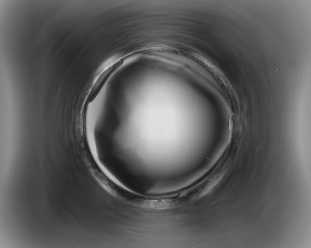 X0000084040858200703092030