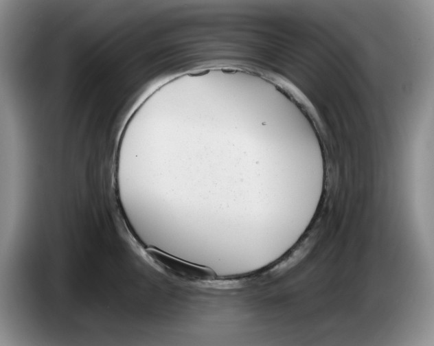 X0000084040860200703092030