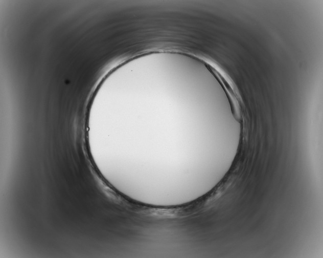 X0000084040861200703092030