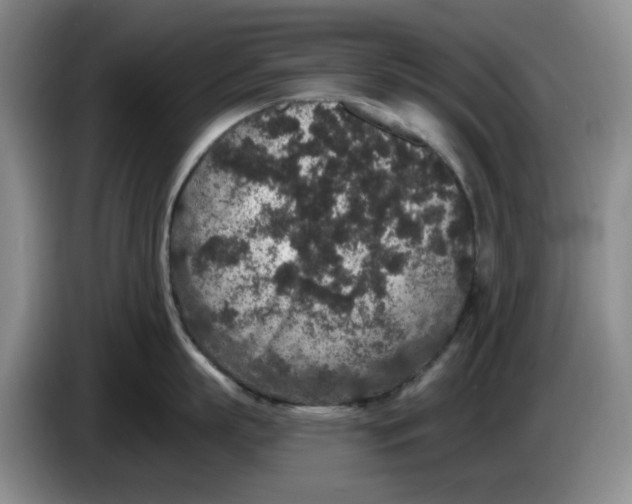 X0000084040863200703092030