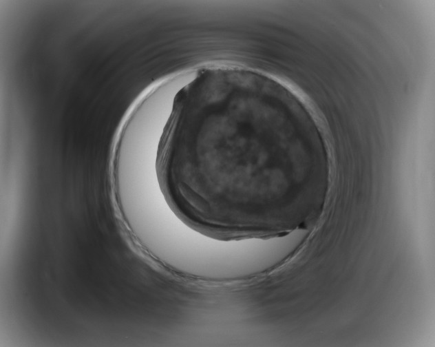 X0000084040864200703092030