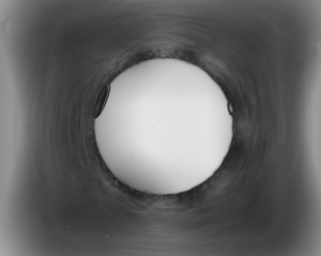 X0000084040865200703092029