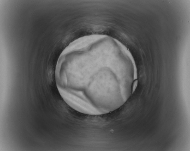 X0000084040866200703092029