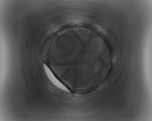 X0000084040868200703092029