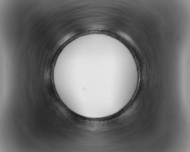 X0000084040873200703092029