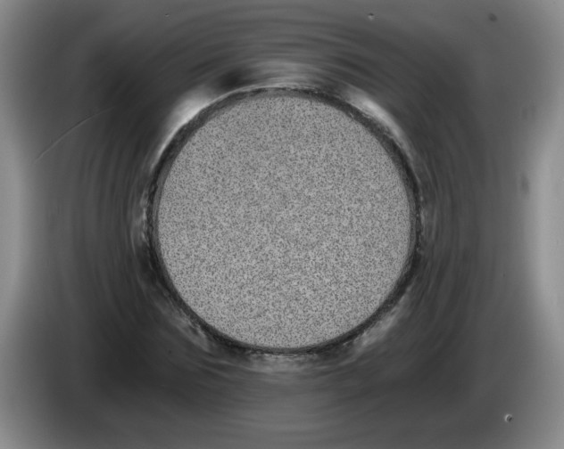 X0000084040875200703092029