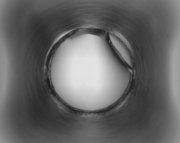 X0000084040876200703092029