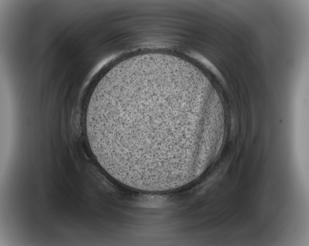 X0000084040878200703092029