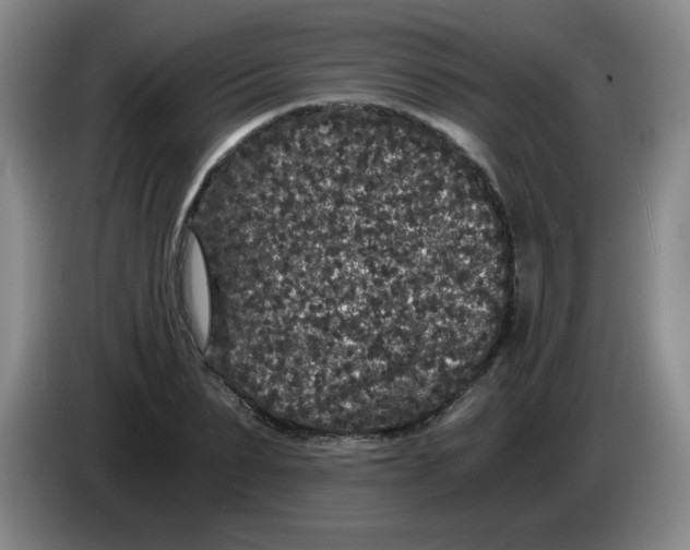 X0000084040879200703092029