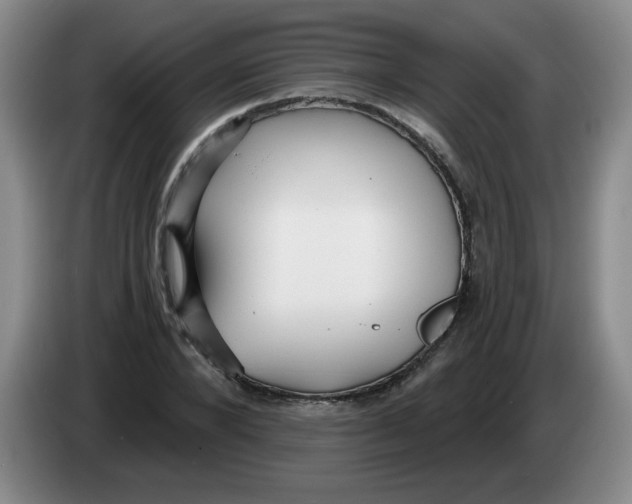 X0000084040880200703092029