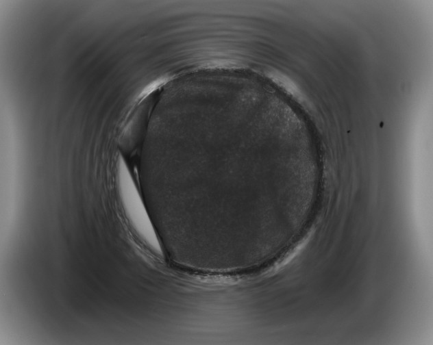 X0000084040881200703092029