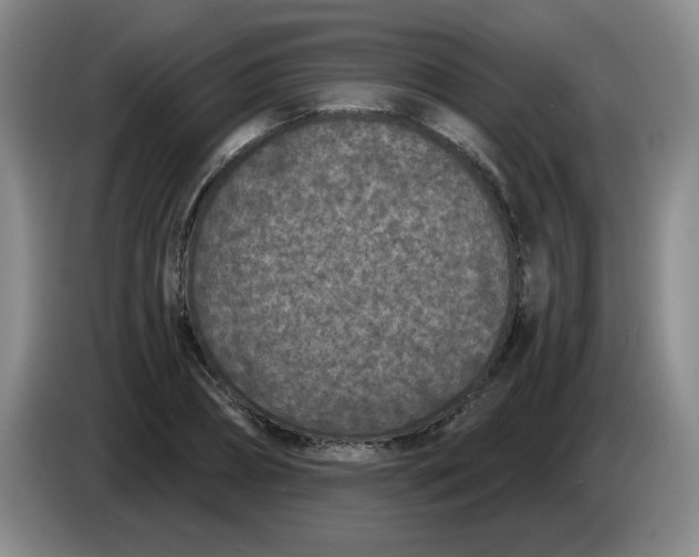 X0000084040882200703092029