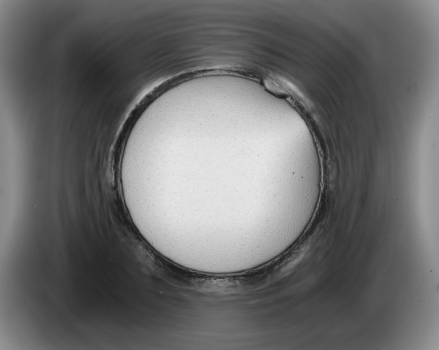 X0000084040883200703092029