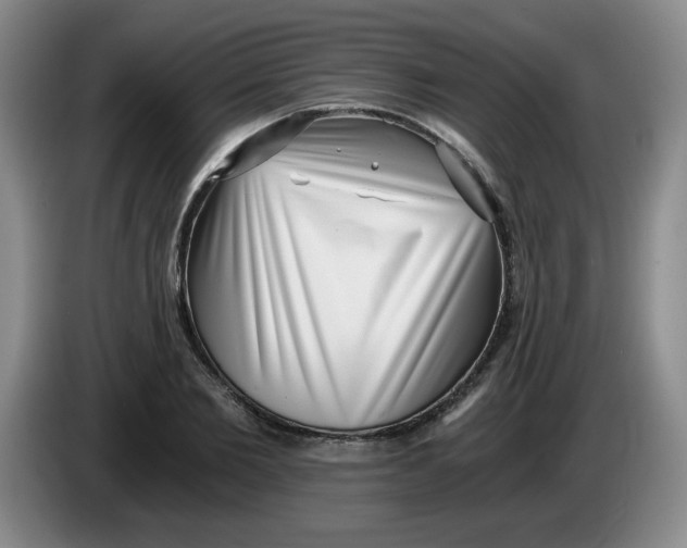 X0000084040885200703092029