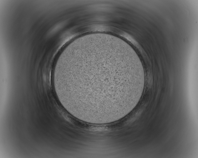 X0000084040886200703092029