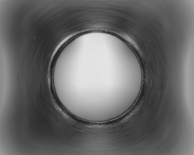 X0000084040888200703092029