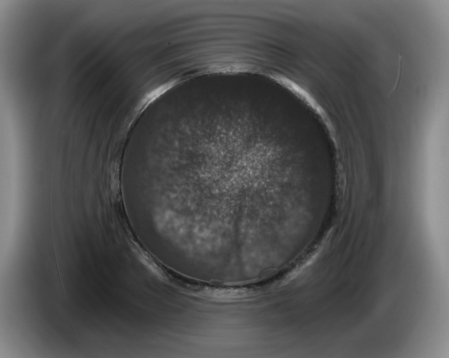 X0000084040889200703092029